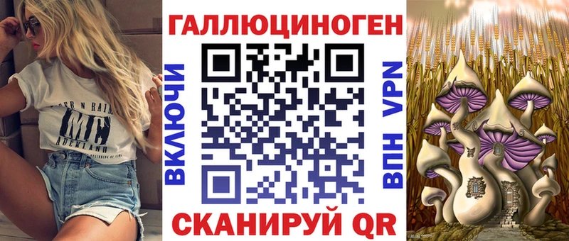 маркетплейс официальный сайт  Березники  Псилоцибиновые грибы MAGIC MUSHROOMS 